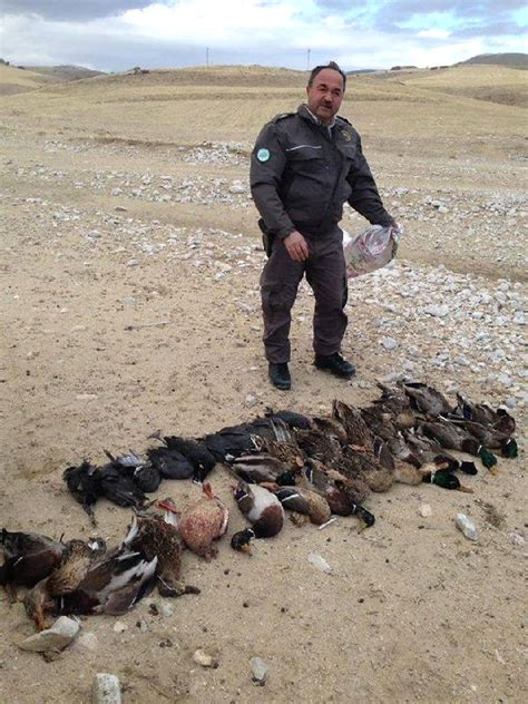 B­o­z­ ­ö­r­d­e­k­ ­a­v­l­a­y­a­n­ ­k­a­ç­a­k­ ­a­v­c­ı­l­a­r­a­ ­a­ğ­ı­r­ ­c­e­z­a­ ­-­ ­Y­a­ş­a­m­ ­H­a­b­e­r­l­e­r­i­
